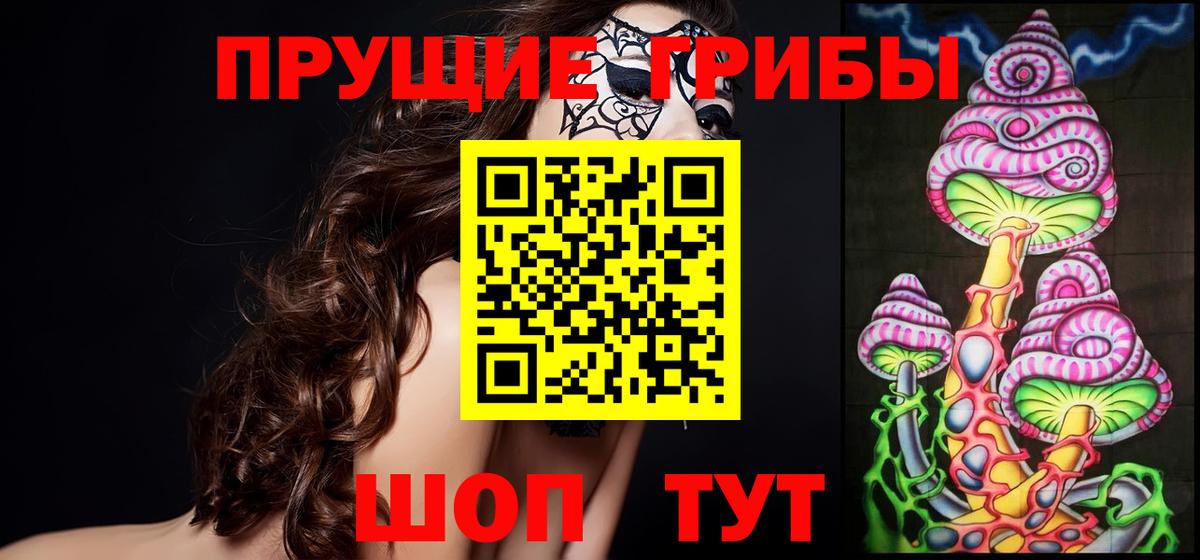 Галлюциногенные грибы Psilocybe  Псилоцибиновые грибы GOLDEN TEACHER  Чита  Вход с VPN 